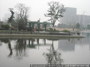 寧波寧南路綠化設(shè)計(jì)與園林工程全覽