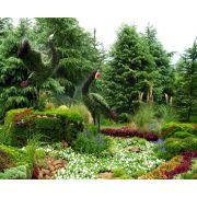 立體景觀與園林綠化 從設(shè)計(jì)到施工的全方位解析