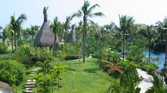 別墅花園景觀設(shè)計施工與園林綠化工程全流程解析